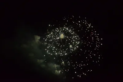 DSC_3383 (Large).JPG